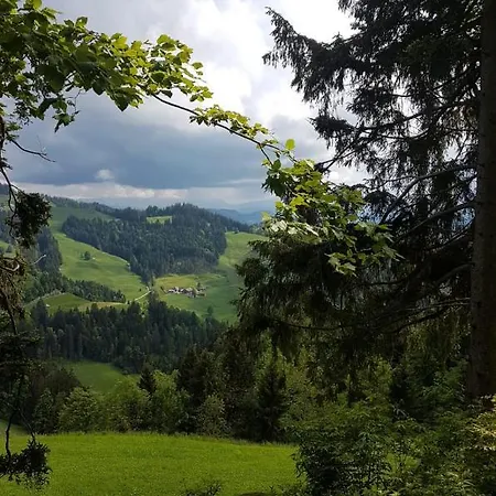 호텔 Panorama Hotel Baernsicht Sumiswald